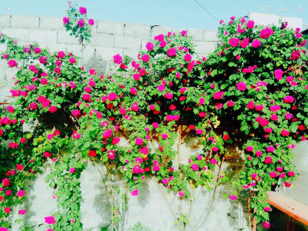 House On Ashiq Cuma Street 8 Sheki Exterior foto